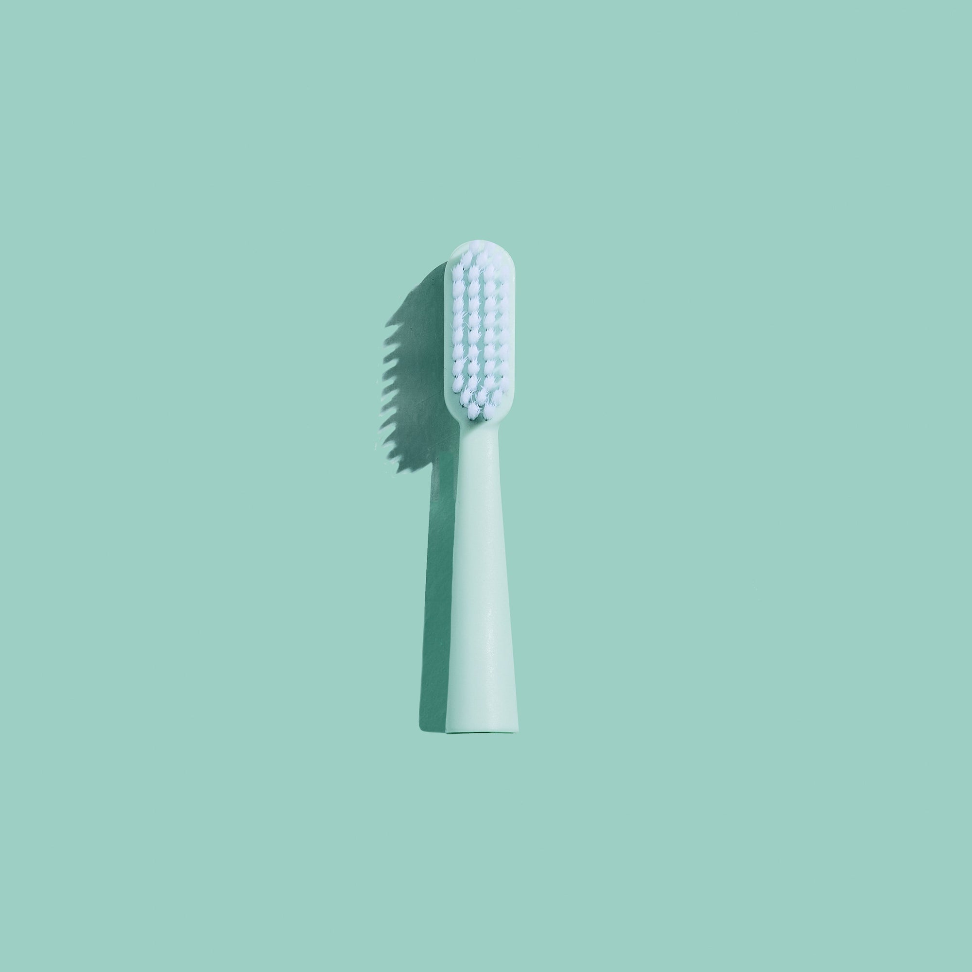 Toothbrush Head - Dsmile