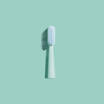 Toothbrush Head - Dsmile
